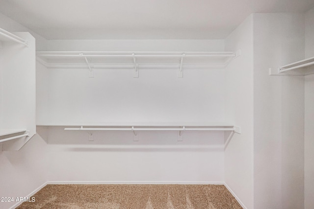 spacious closet featuring carpet flooring