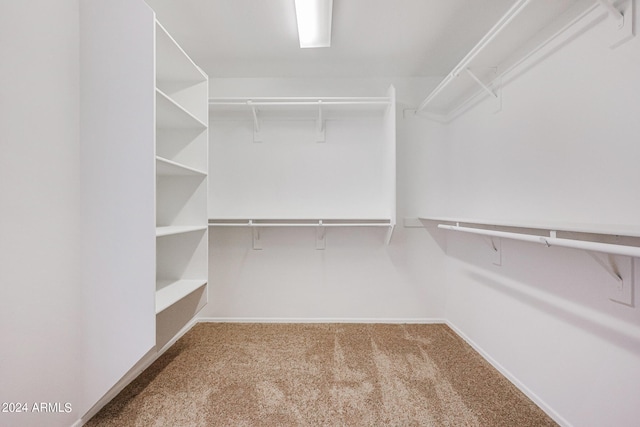 spacious closet featuring light colored carpet