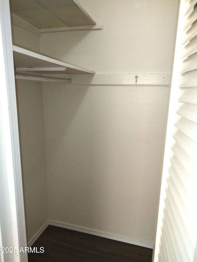 spacious closet featuring dark hardwood / wood-style floors