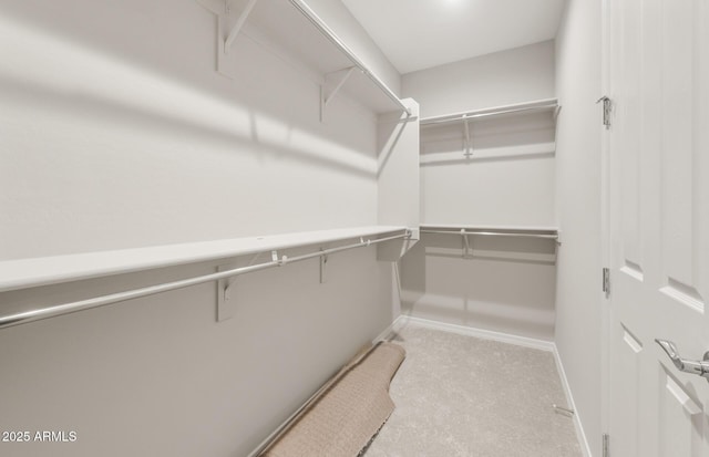 17633 W Palo Verde Dr, Litchfield Park, AZ 85340 - spacious closet featuring carpet