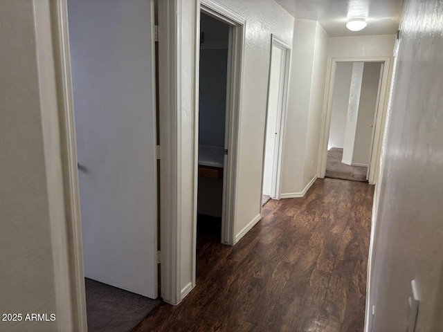 hallway with dark wood-type flooring