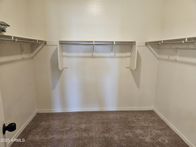 walk in closet with carpet flooring