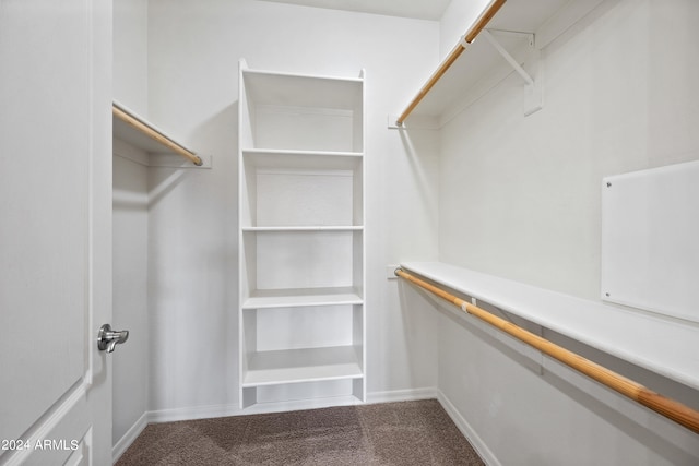 spacious closet featuring dark colored carpet