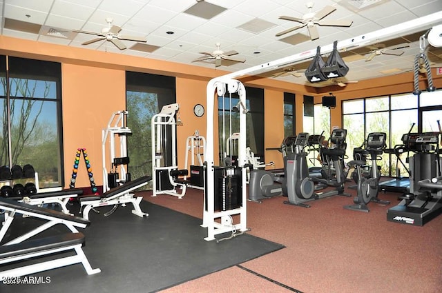 gym featuring a paneled ceiling and carpet