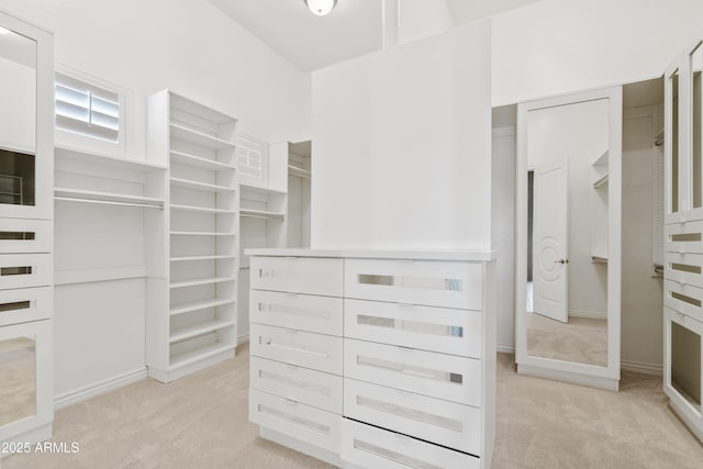 spacious closet featuring light colored carpet