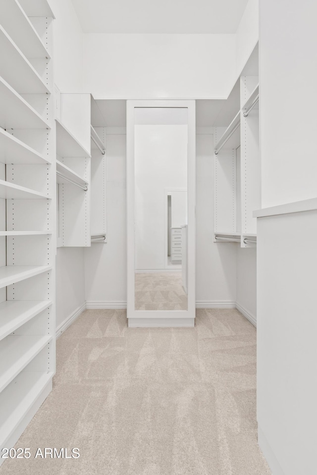 walk in closet featuring carpet