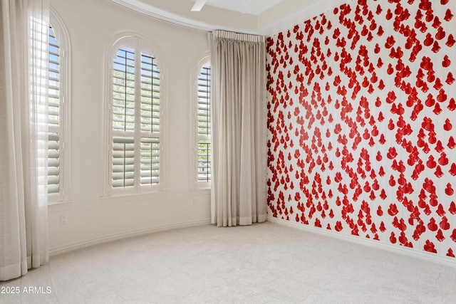 empty room with baseboards, carpet, and a wealth of natural light