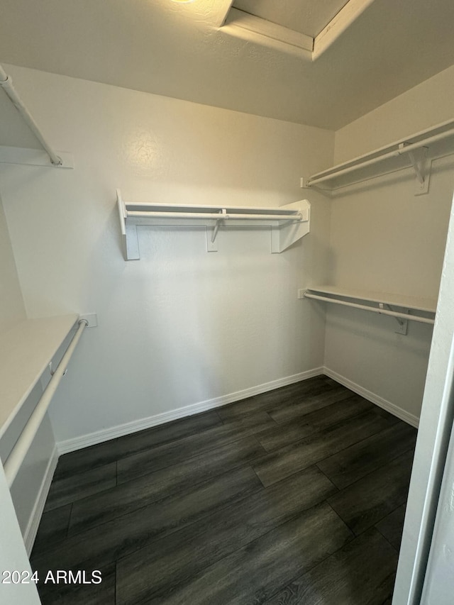 spacious closet featuring dark hardwood / wood-style floors