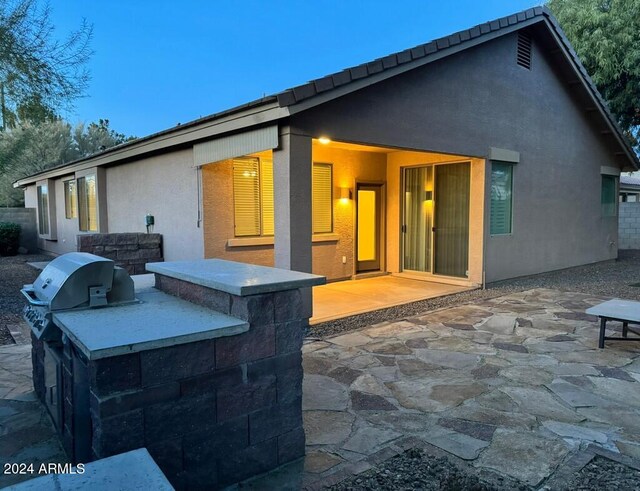 rear view of house with an outdoor kitchen and a patio area