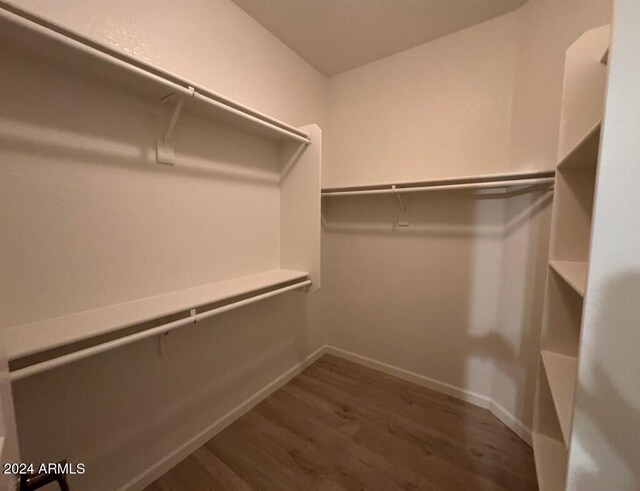 walk in closet with dark hardwood / wood-style floors