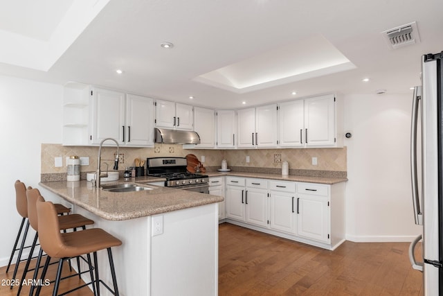 kitchen with visible vents, appliances with stainless steel finishes, under cabinet range hood, open shelves, and a sink