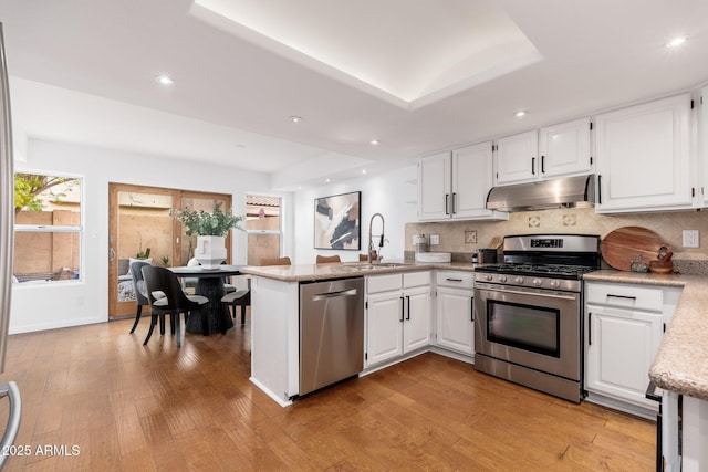 kitchen featuring light wood-style floors, appliances with stainless steel finishes, a peninsula, under cabinet range hood, and a sink