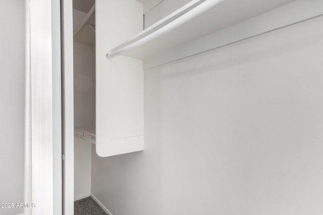 walk in closet featuring carpet