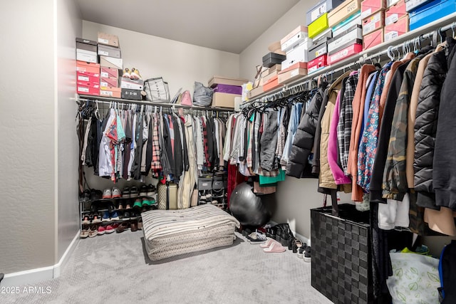 23934 W Verlea Dr, Buckeye, AZ 85326 - walk in closet with carpet floors