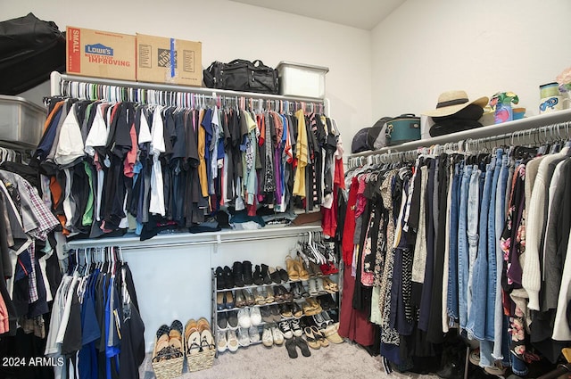 spacious closet with carpet