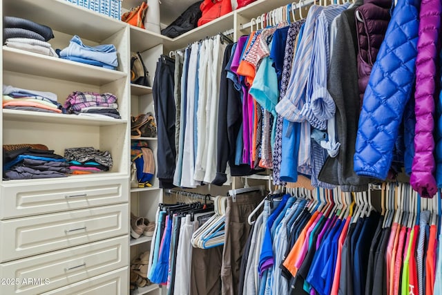 view of walk in closet