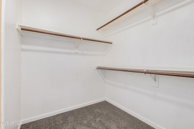 3343 W Lone Cacuts Dr, Phoenix, AZ 85027 - spacious closet featuring carpet flooring