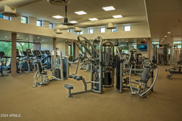 workout area with ceiling fan, plenty of natural light, a drop ceiling, and a high ceiling