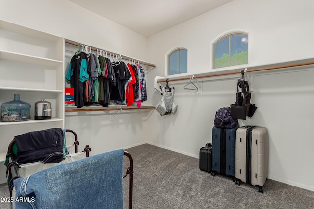14604 W Banff Ln, Surprise, AZ 85379 - spacious closet with carpet