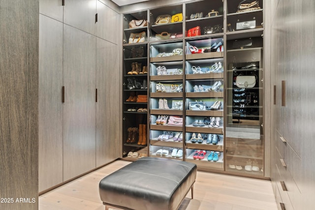 spacious closet featuring wood finished floors