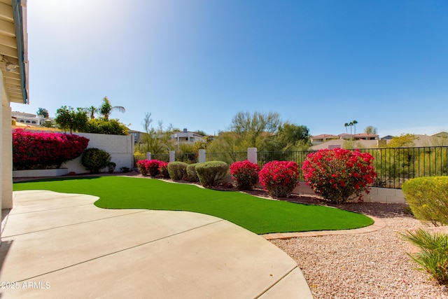 view of yard with a fenced backyard and a patio