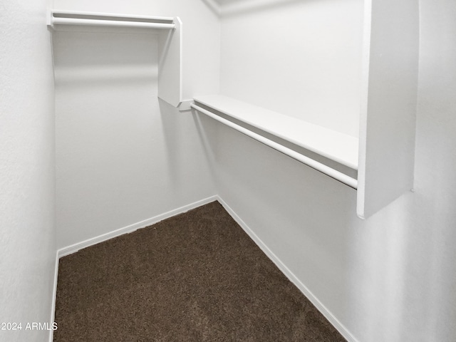 spacious closet with carpet