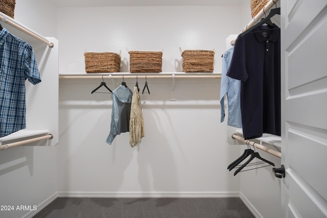 walk in closet with carpet floors