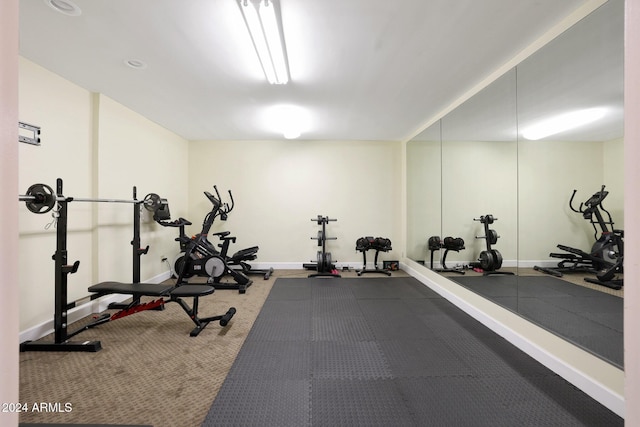 workout room with carpet floors