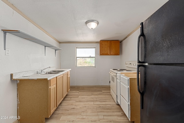 kitchen with sink, crown molding, light hardwood / wood-style floors, electric stove, and black refrigerator