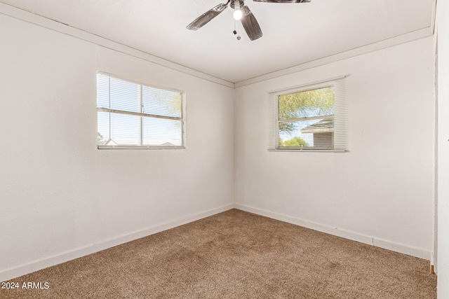 empty room featuring carpet flooring, ceiling fan, and ornamental molding