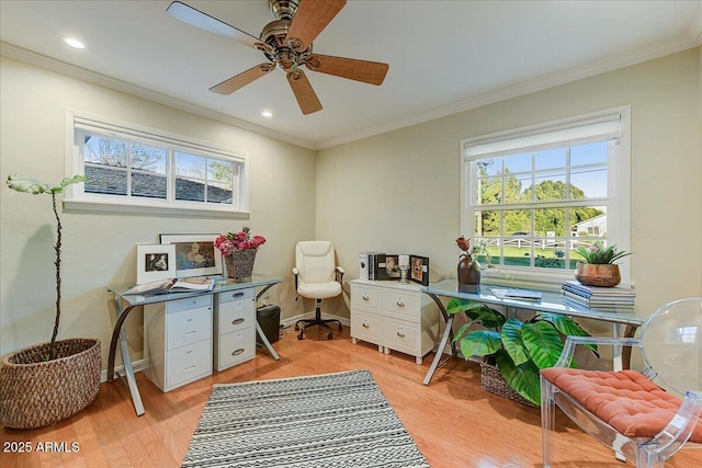 home office with light hardwood / wood-style floors, crown molding, and ceiling fan