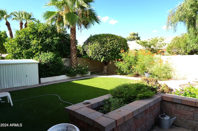 view of yard featuring a storage shed