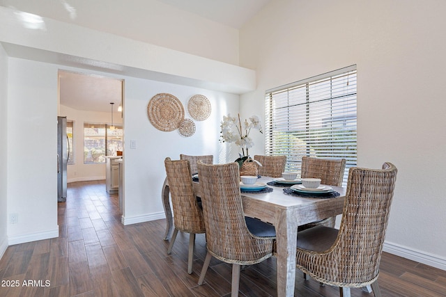 dining space featuring dark hardwood / wood-style flooring