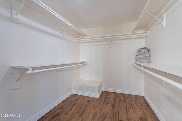 spacious closet featuring dark wood-type flooring