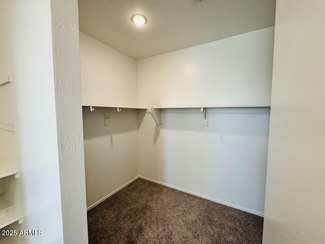 walk in closet with carpet flooring