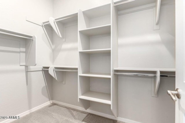 spacious closet featuring carpet