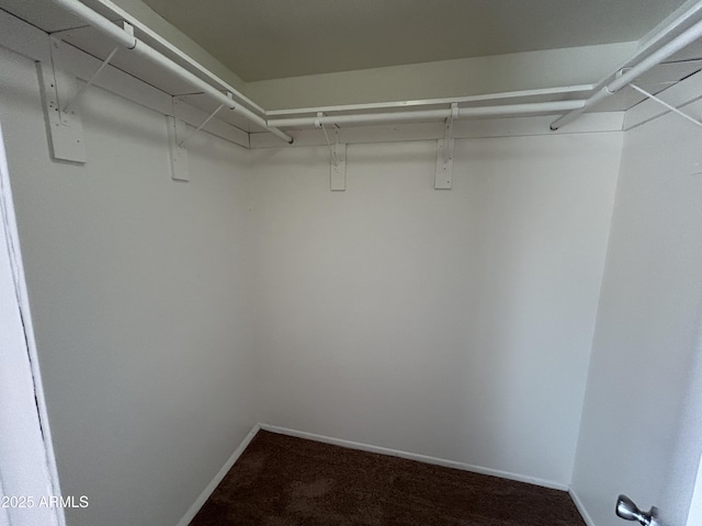 6842 S 42nd Pl, Phoenix, AZ 85042 - spacious closet with dark colored carpet