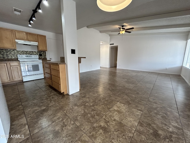 6842 S 42nd Pl, Phoenix, AZ 85042 - kitchen featuring under cabinet range hood, electric stove, a ceiling fan, tasteful backsplash, and dark tile patterned floors