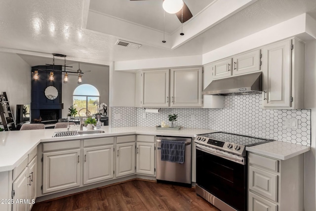 kitchen with under cabinet range hood, a sink, dark wood-style floors, appliances with stainless steel finishes, and a raised ceiling