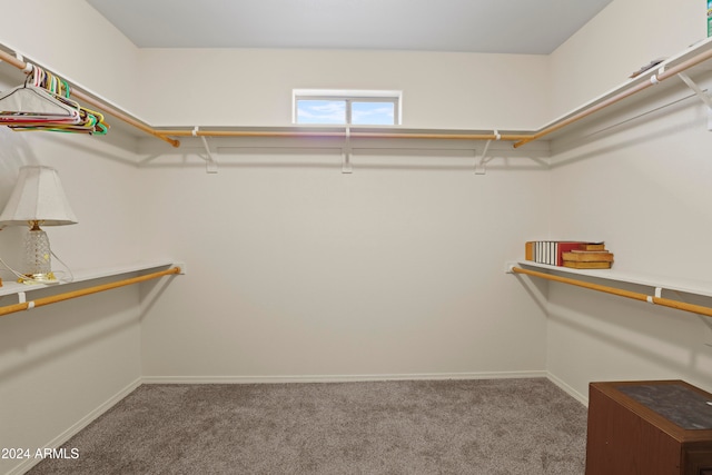 spacious closet with carpet flooring