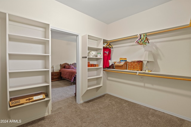 walk in closet with carpet flooring