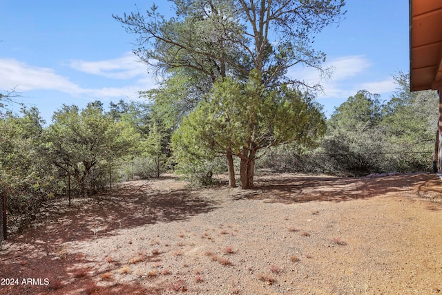 view of local wilderness