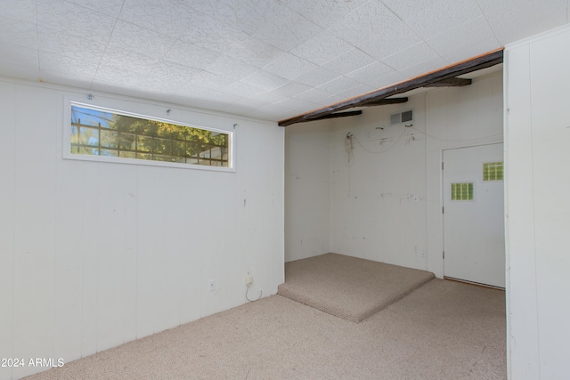 basement with carpet flooring