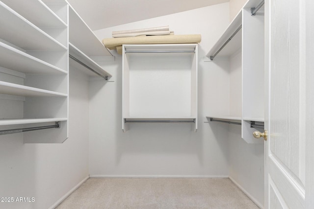 walk in closet with carpet