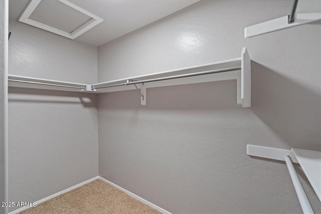 421 W Mountain Sage Dr, Phoenix, AZ 85045 - spacious closet featuring attic access and carpet floors