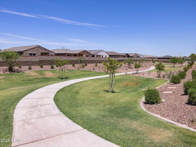 view of home's community with a yard