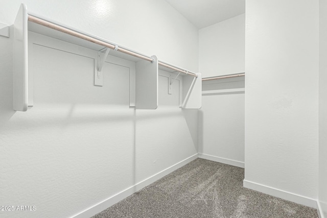 9366 E Sequence Ave, Mesa, AZ 85212 - walk in closet with carpet