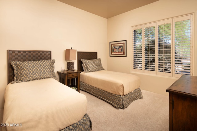 bedroom with carpet flooring