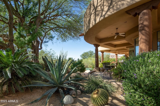 view of patio / terrace with ceiling fan