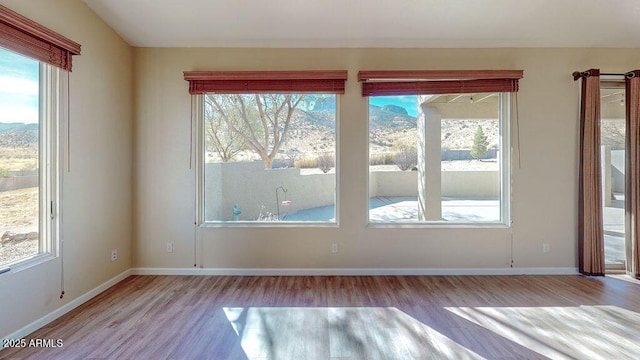 spare room with light hardwood / wood-style flooring and a healthy amount of sunlight